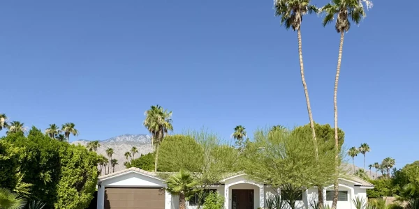 Palm Springs Behavioral Health By Ken Seeley